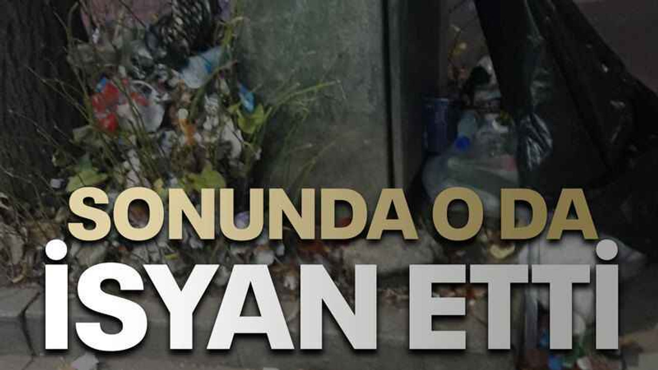 Sonunda o da isyan etti
